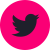 Twitter icon